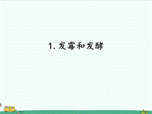 2022湘科版五年級下冊科學2.1.發霉和發酵課件.pptx