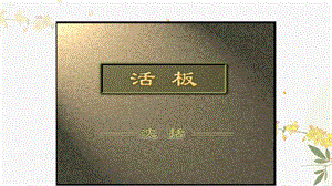 人教部編版（54制）七年級下冊語文25 活板 教學課件.pptx