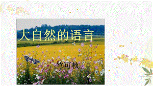 人教部編版（54制）八年級下冊語文5.大自然的語言教學課件.ppt