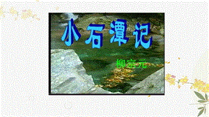 人教部編版（54制）八年級下冊語文10.小石潭記 教學課件.ppt