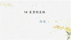 人教部編版（54制）六年級下冊語文14表里的生物教學課件.pptx