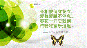 湘美版四年級上冊美術(shù)14蝴蝶落我家課件（安徽市級優(yōu)課）.pptx