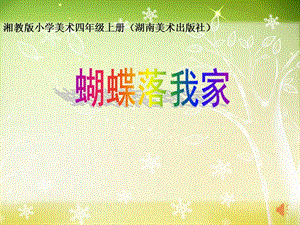 湘美版四年級上冊美術(shù)14蝴蝶落我家課件（湖北部級公開課）.pptx