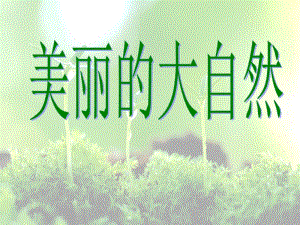 桂美版一年級上冊美術《美麗的大自然》課件.ppt