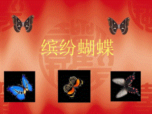 桂美版一年級下冊美術11繽紛蝴蝶課件.ppt