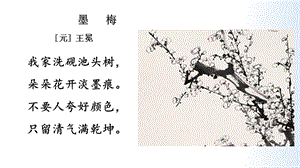 人教部編版五年級上冊1白鷺課件（李老師公開課）.pptx