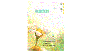 人教部編版五年級上冊1白鷺課件（馮老師公開課）.pptx
