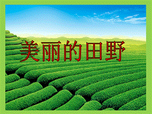 桂美版三年級下冊美術《美麗的田野》課件.ppt