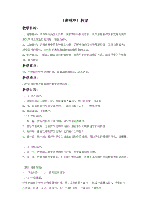 桂美版四年級下冊美術16密林中教案.doc