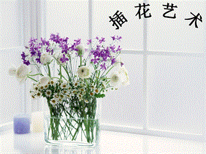 桂美版六年級下冊美術《插花藝術》課件.ppt