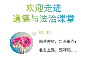 人教部編版七下道德與法治10.2我們與法律同行課件（遼寧省級優課）.pptx
