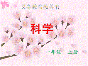 教科版一年級上冊科學1.4.這是誰的葉 教學課件.ppt