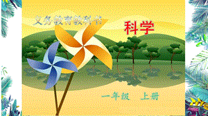教科版一年級上冊科學(xué)1.3.觀察葉教學(xué)課件.pptx