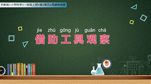 蘇教版一年級(jí)上冊(cè)科學(xué)課件-6.借助工具觀察-蘇教版(共12張PPT).pptx