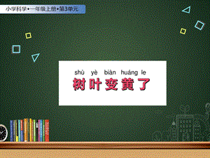 蘇教版一年級上冊科學課件-9課 樹葉變黃了-蘇教版 (共9張PPT).ppt