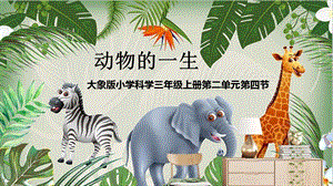 大象版三年級上冊科學2.4動物的一生教學課件.pptx