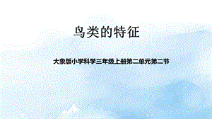 大象版三年級上冊科學2.2鳥類的特征教學課件.pptx