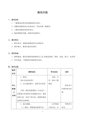 蘇科版六年級上冊勞動與技術06 菊花扦插-教案.docx