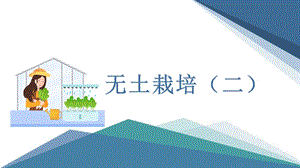 小學勞動與技術六年級13.無土栽培（二）（課件）.pptx