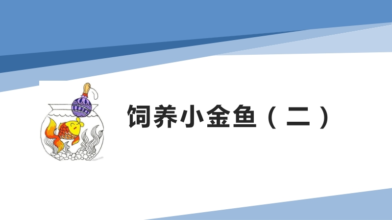 小學(xué)勞動與技術(shù)五年級-8.飼養(yǎng)小金魚（二）（課件）.zip