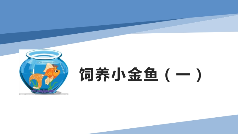 小學(xué)勞動與技術(shù)五年級-7.飼養(yǎng)小金魚（一）（課件）.zip
