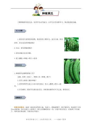 小學(xué)勞動與技術(shù)三年級-7.種植黃瓜（一）（教案）.docx