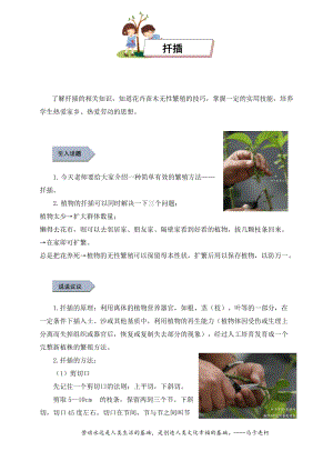 小學勞動與技術(shù)六年級5.基地小專家（扦插）（教案）.docx