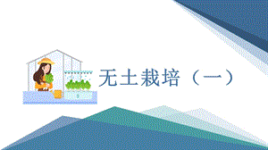 小學勞動與技術六年級12.無土栽培（一）（課件）.pptx