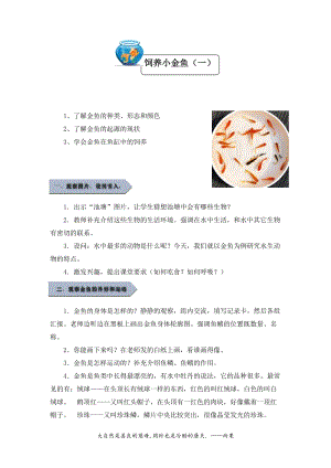 小學(xué)勞動與技術(shù)五年級-7.飼養(yǎng)小金魚（一）（教案）.docx