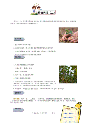小學(xué)勞動與技術(shù)三年級-9.種植黃瓜（二）（教案）.docx