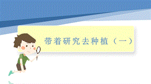 小學勞動與技術六年級3.帶著研究去種植（一）（課件）.pptx