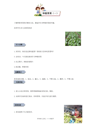 小學勞動與技術三年級-3.種植青菜（一）（教案）.docx