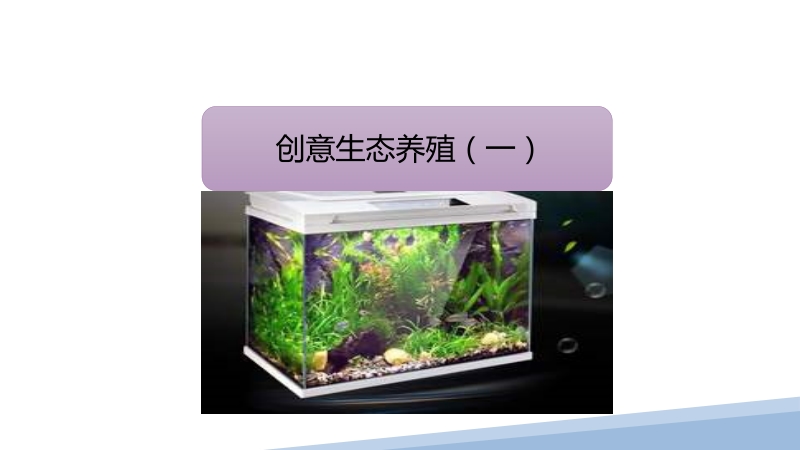小學勞動與技術五年級-2.創意生態養殖（一）（課件）.zip