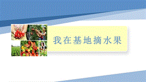 小學勞動與技術五年級-10.我在基地摘水果（課件）.pptx