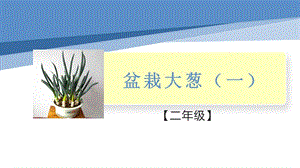 小學勞動與技術二年級-盆栽大蔥（一）（課件）.pptx