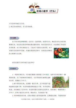 小學(xué)勞動與技術(shù)四年級-農(nóng)場小能手（打頭）（教案）.docx