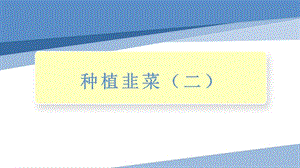 小學勞動與技術四年級-種植韭菜（二）（課件）.pptx