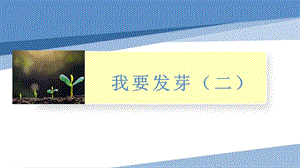 小學勞動與技術四年級-我要發芽（二）（課件）.pptx