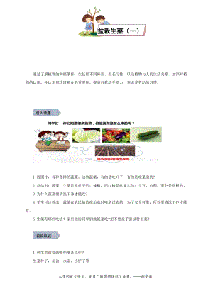 小學勞動與技術(shù)二年級-盆栽生菜（一）（教案）.docx