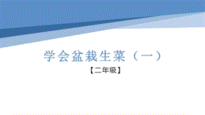 小學勞動與技術二年級-盆栽生菜（一）（課件）.pptx