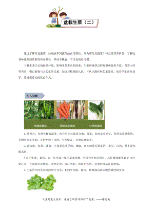 小學(xué)勞動(dòng)與技術(shù)二年級(jí)-盆栽生菜（二）（教案）.docx