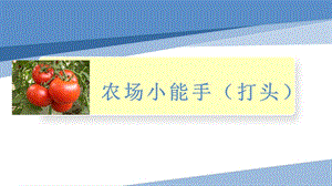 小學(xué)勞動與技術(shù)四年級-農(nóng)場小能手（打頭）（課件）.pptx