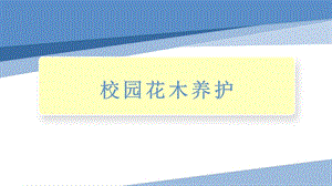 小學勞動與技術四年級-校園花木養護（課件）.pptx
