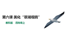 教科版（云南）四上信息技術第6課《美化“翠湖觀鷗”》課件.pptx