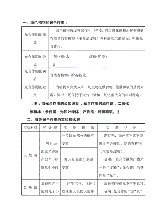 初中生物：光合作用相關知識點梳理.docx