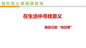湘科版九上心理健康教育第09課《在生活中尋找意義》課件.ppt