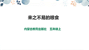內蒙古版五上綜合實踐第4單元活動2《來之不易的糧食》課件.pptx