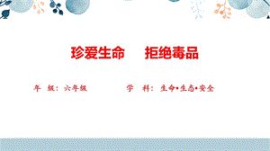川教版六下生命生態安全第13課珍愛生命拒絕毒品課件.pptx