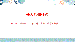 川教版六上生命生態安全第3課《長大后做什么》課件.pptx