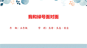 川教版五上生命生態(tài)安全15《我和綽號面對面》課件（23張）.pptx